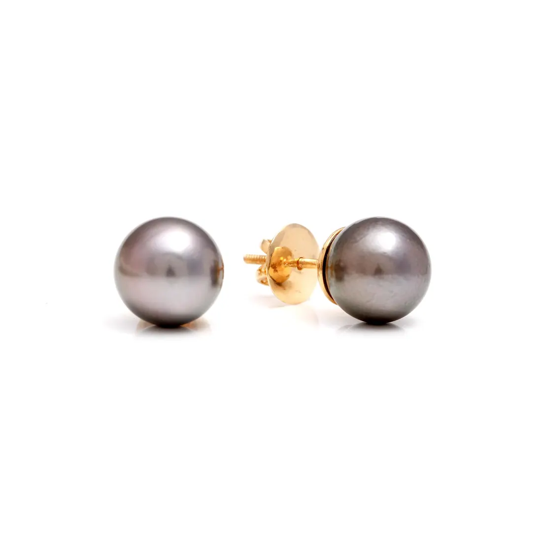 Freshwater Pearl Studs